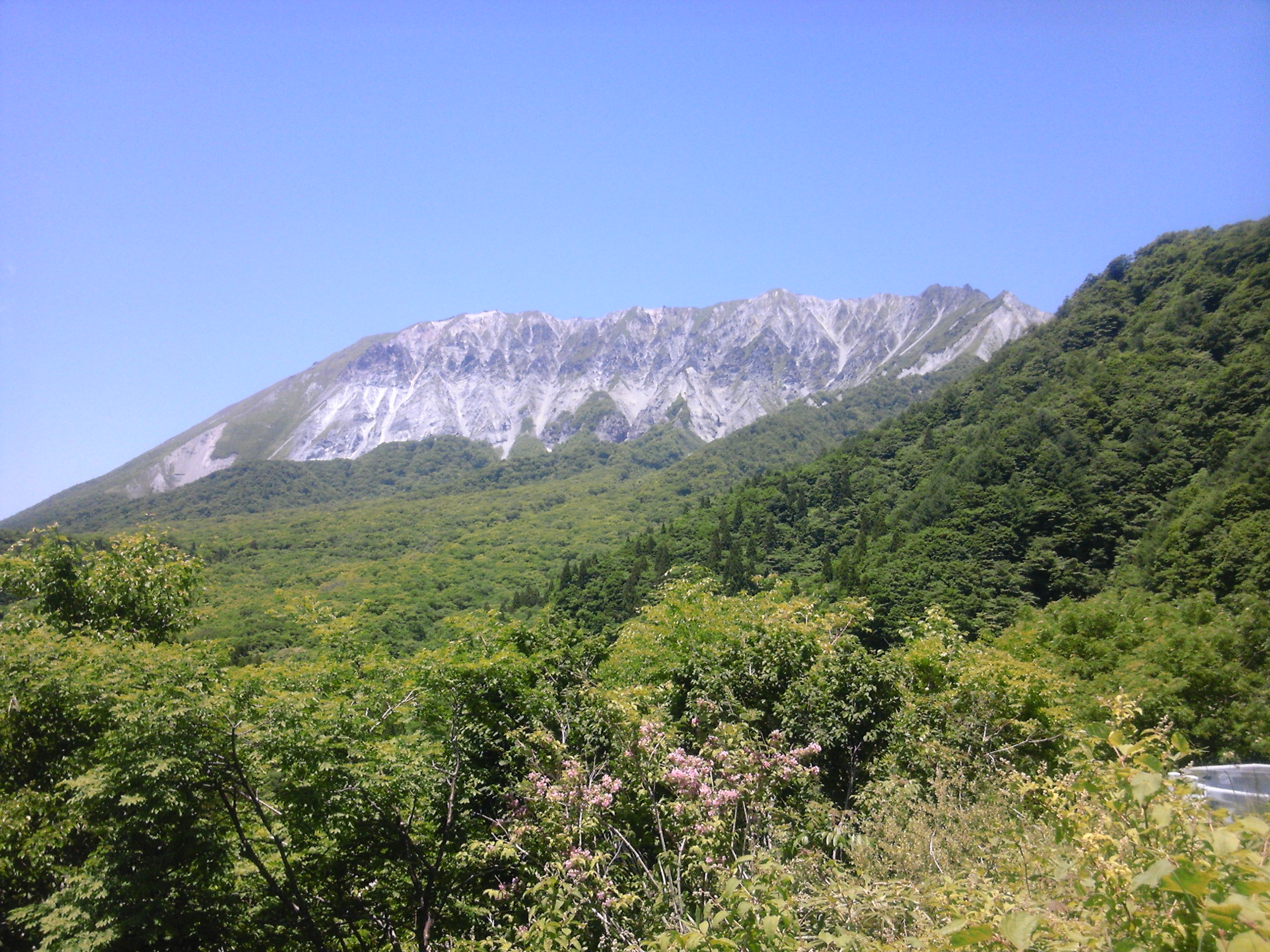 yonago_6.jpg