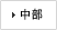 中部